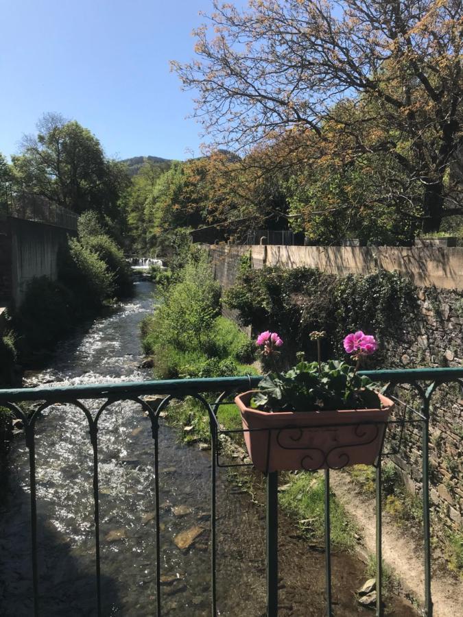 Labastide-Rouairoux Residence Le Petit Paradis מראה חיצוני תמונה