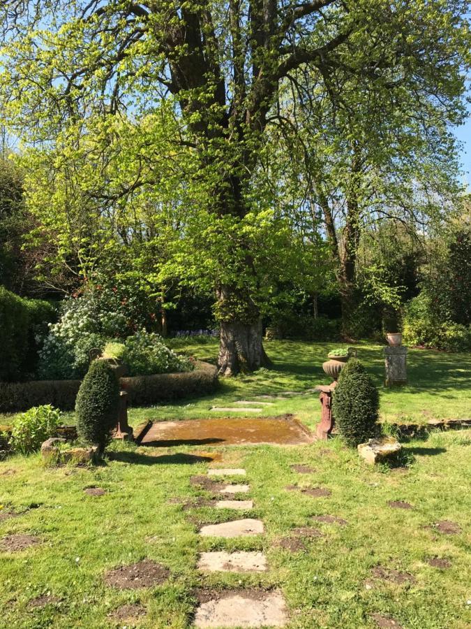 Labastide-Rouairoux Residence Le Petit Paradis מראה חיצוני תמונה