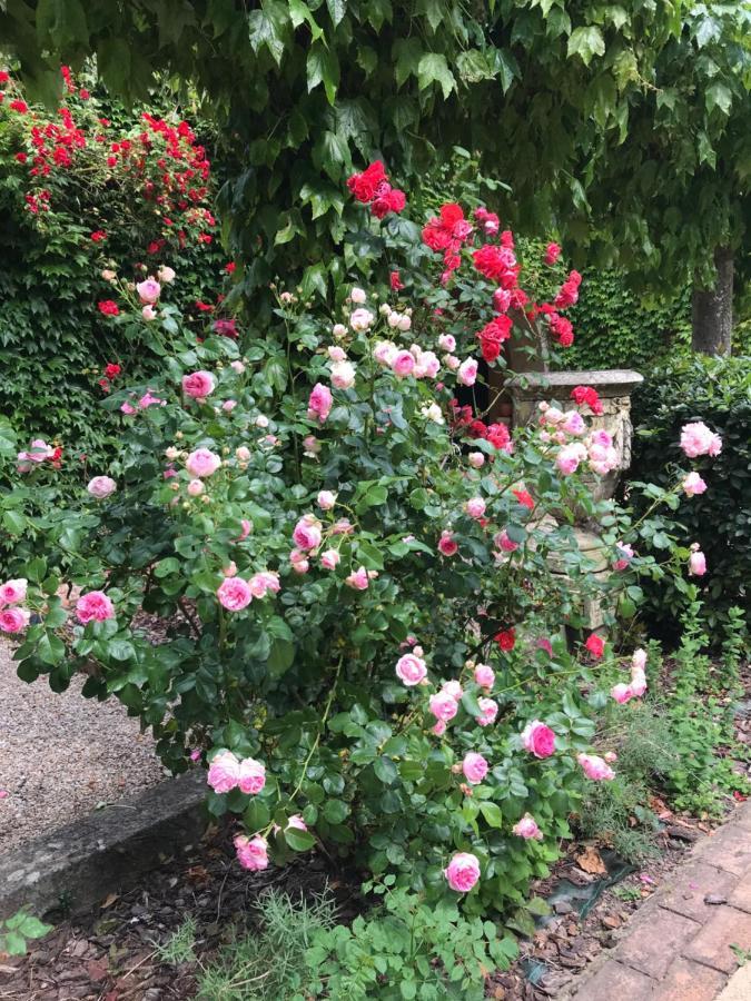 Labastide-Rouairoux Residence Le Petit Paradis מראה חיצוני תמונה